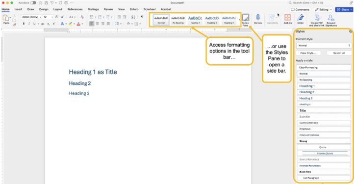 Microsoft word with the horizontal style pane highlighted and the vertical style pane highlighted